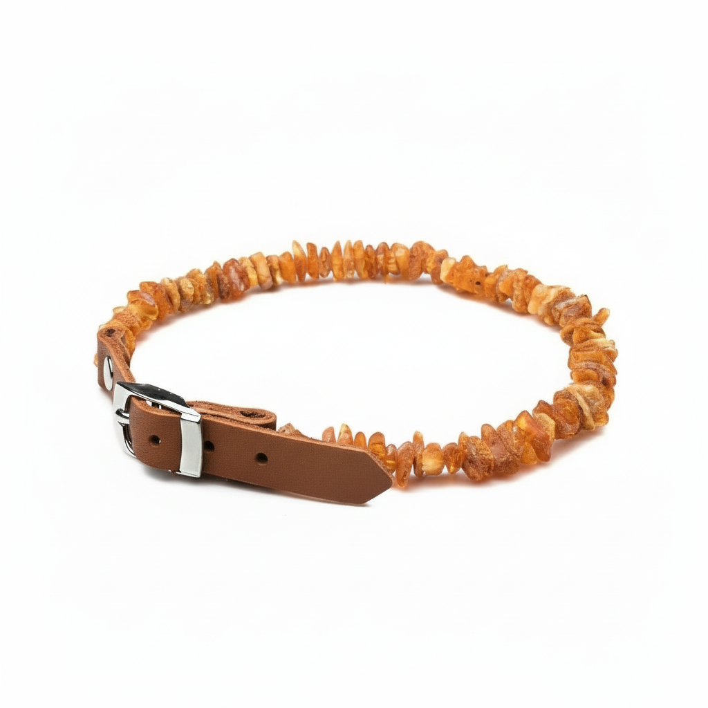 Amber Dog Collar - Slightly More Space